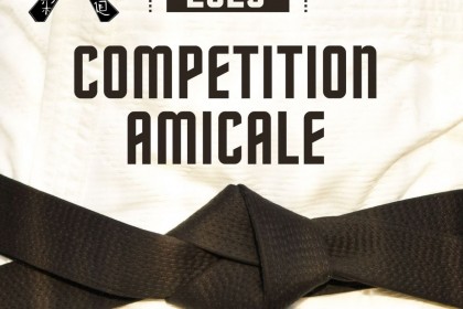 Compétition amicale de la Guerche-de-Bretagne