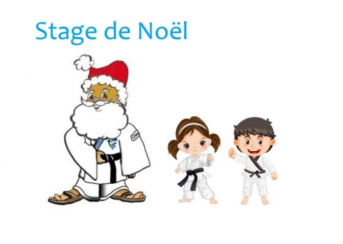 Image de l'actu 'Stage de noël'